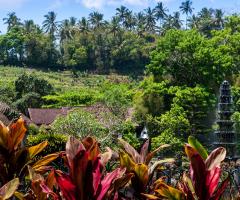 Bilan : Excursion au palais des eaux Tirta Gangga (Indonésie, Bali) - Les eaux du Gange ont atteint l'île et le volcan Agung a détruit les jardins royaux. C'était la seule petite « mouche dans la pommade » dans un immense « baril de ». Miel