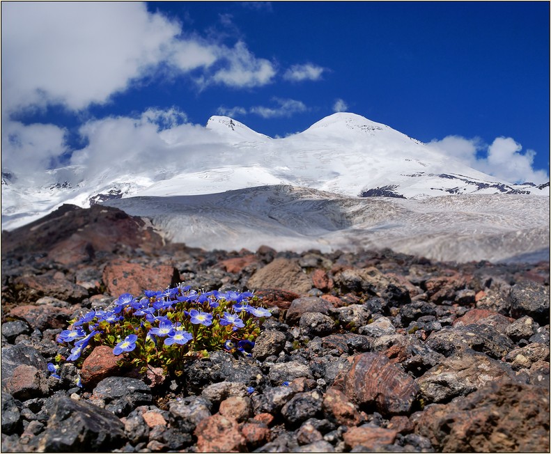Mount Elbrus titelhistoria