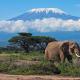 Вулканы Африки — действующие и потухшие Известные вулканы африки