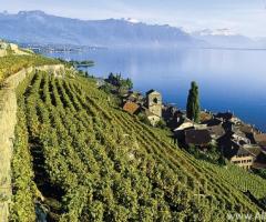 Ženevsko jezero - šarmantan kutak Zemlje Ženevsko jezero Lausanne